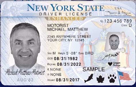 nys enhanced drivers license